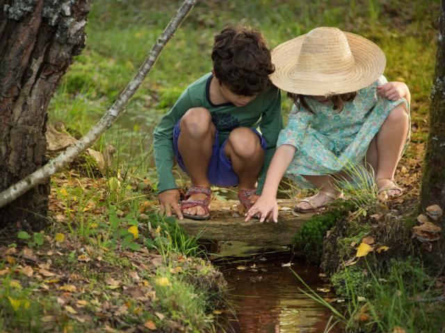 Spalazen Lodge Nature Correze ®malikaturin 1232