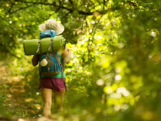 Chemin de Saint-Jacques de Compostelle