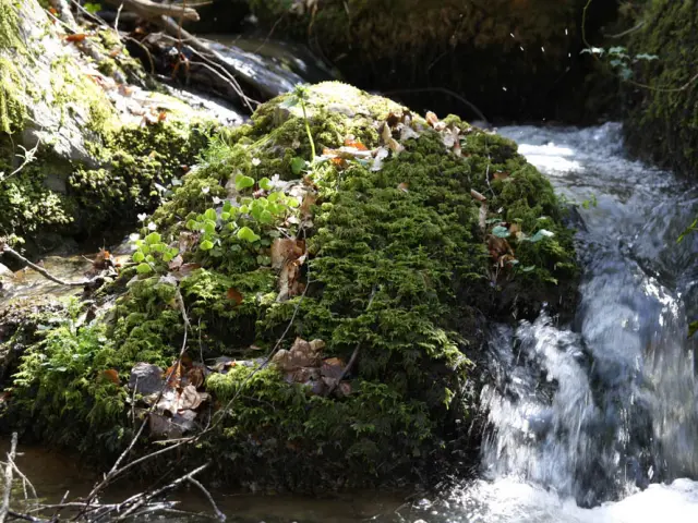 La Vallee Mysterieuse 5.jpg