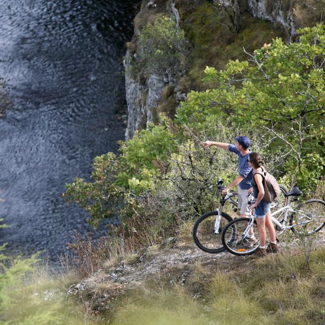 Velo cycles stone 2025