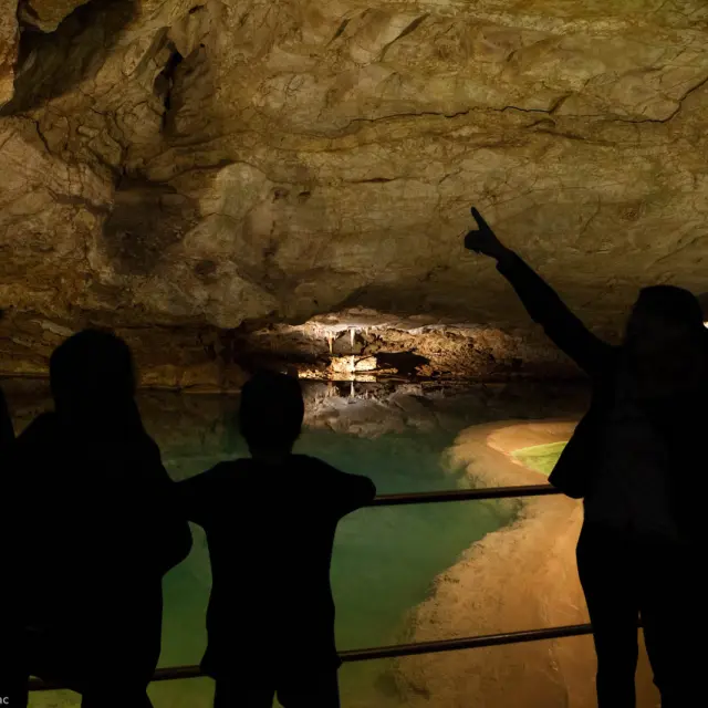 Le Lac des Gours - Visiteurs (2014)