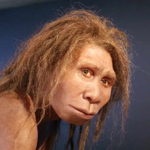 Musée De L'homme De Neandertal