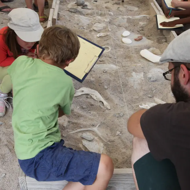 Archéosite Des Fieux Fouilles @flintslot