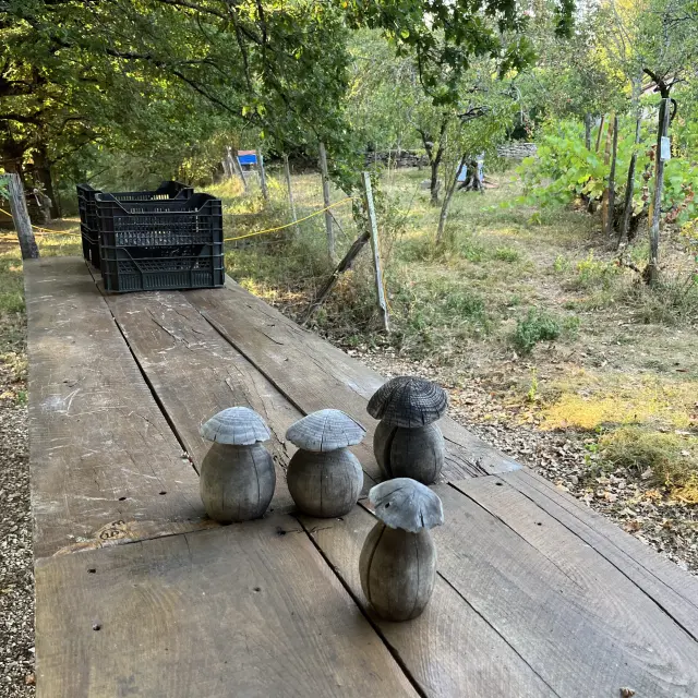 Ferme Diamant Noir Escapade Gourmande 5