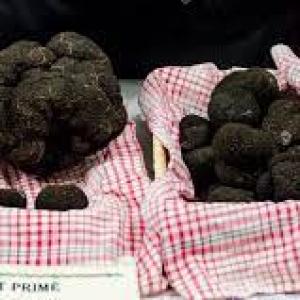 Marche Aux Truffes Sarlat Tourisme