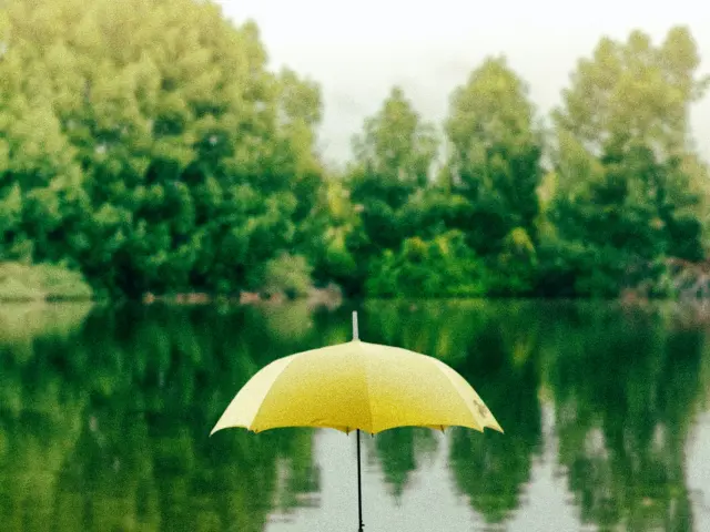 Saffu Bmtg7lrcry4 Unsplash