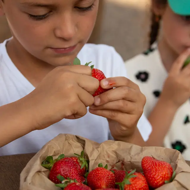 Fraises Marche De Pays Monceaux Sur Dordogne Malika Turin.jpg 1920px
