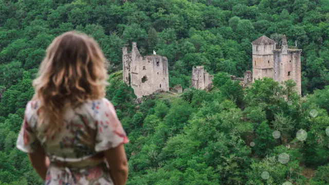 PANORAMA SUR LES TOURS DE MERLE