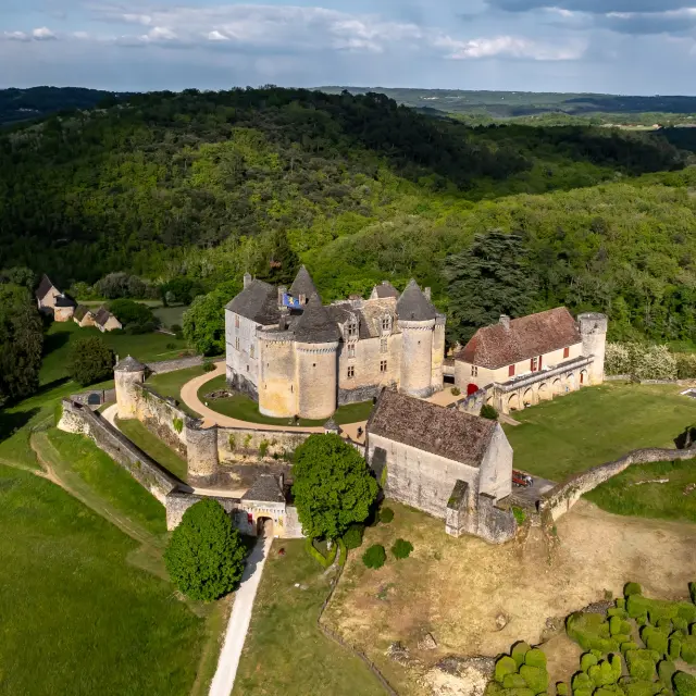 Château de Fénelon