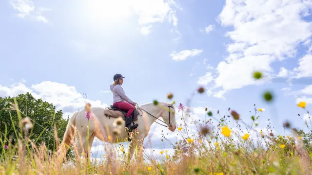 Randonnée à cheval