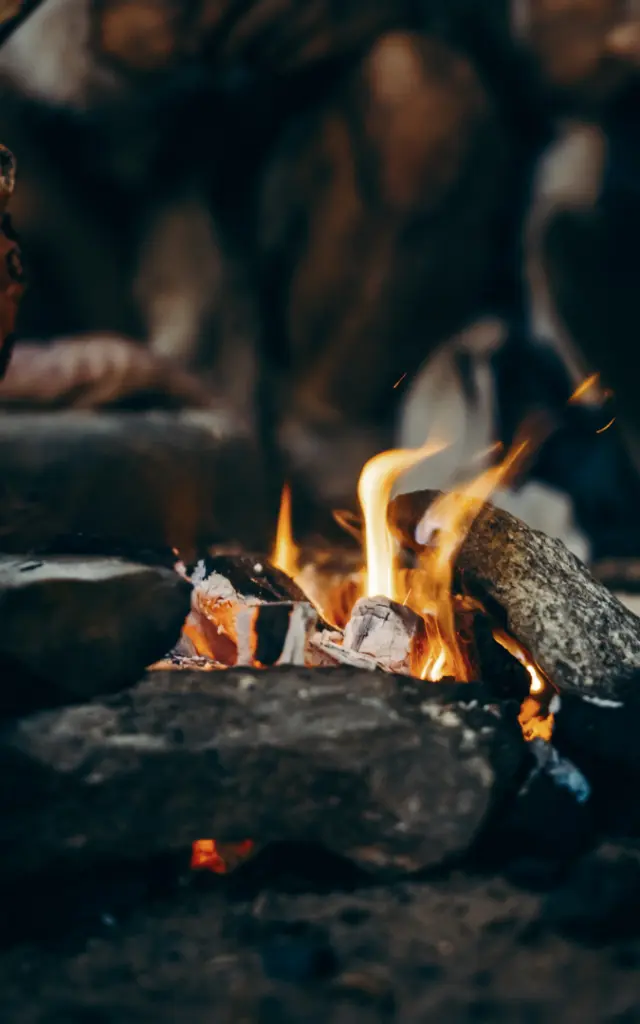 Homme de Néandertal avec feu