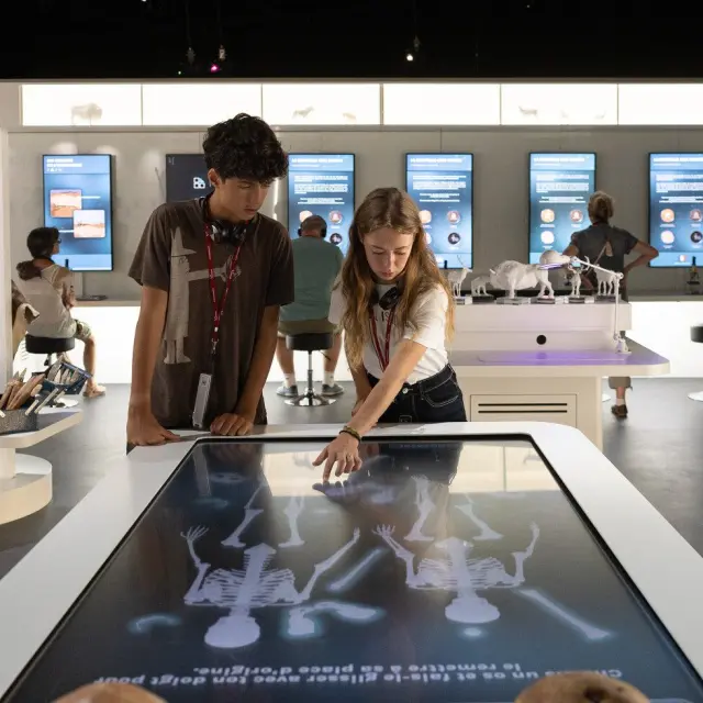 Néandertal, l'homme de La-Chapelle-aux-Saints