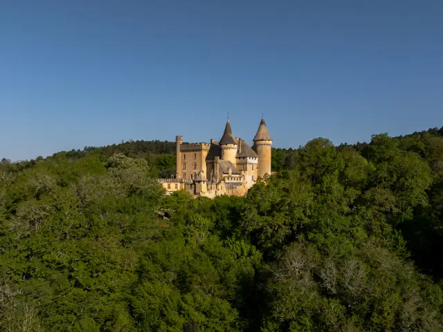 Château de Puymartin