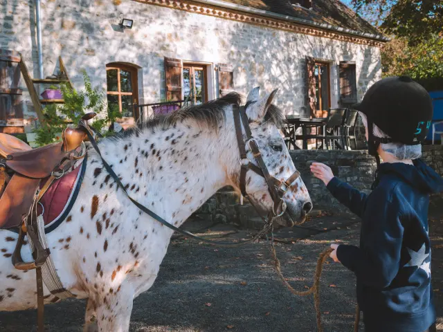 Balade à poney en Vallée de la Dordogne