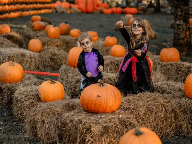 Festival d'Hallowen de Castel Novel