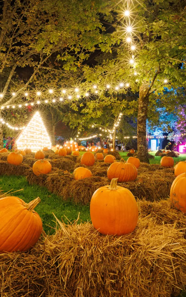 Festival d'Halloween de Castel Novel